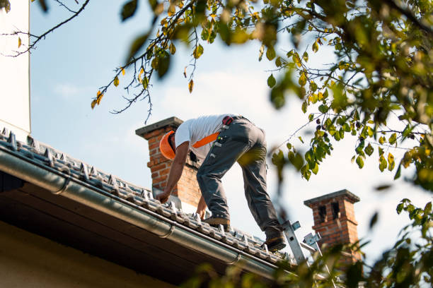 Best Roof Maintenance Services  in Round Lake Beach, IL