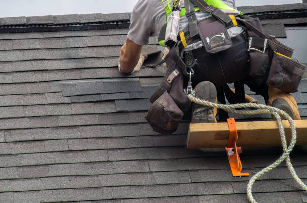 Best Metal Roofing Contractor  in Round Lake Beach, IL